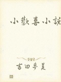 小欢喜小说