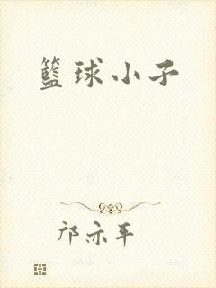 篮球小子