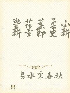 警花叶柔小说最新章节更新