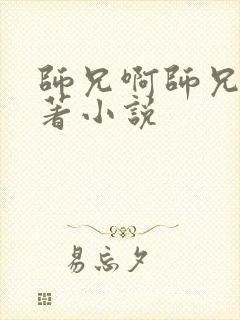 师兄啊师兄的原著小说