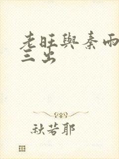 老旺与秦雨三进三出