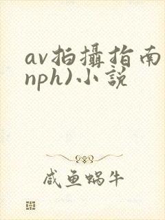 av拍摄指南(nph)小说