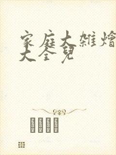 家庭大杂烩小说大全儿