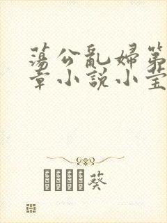 荡公乱妇第51章小说小莹