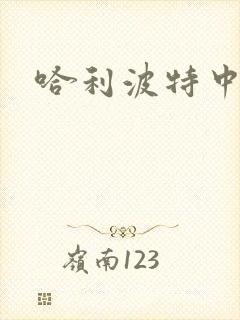 哈利波特中文版