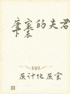 唐家的夫君们帘下衾