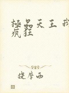 极品天王 我本疯狂