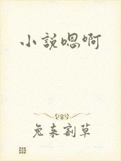小说嗯啊