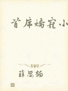 首席娇宠小情人