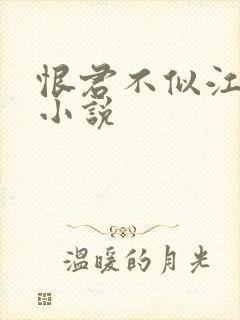 恨君不似江楼月小说