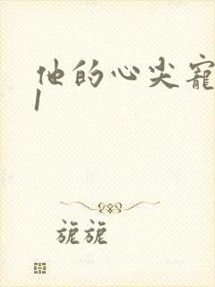 他的心尖宠1v1