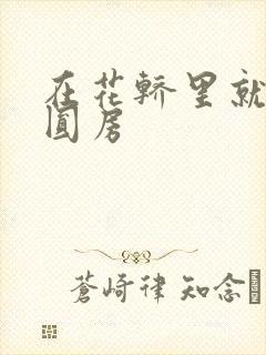 在花轿里就开始圆房