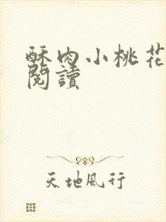 酥肉小桃花全文阅读