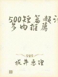 500短篇超污多肉推荐