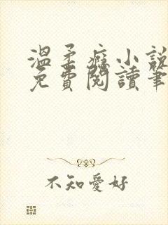 温柔瘾小说全文免费阅读笔趣阁