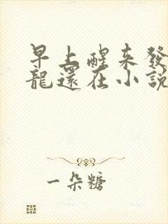 早上醒来发现巨龙还在小说