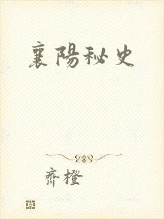 襄阳秘史