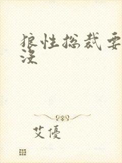 狼性总裁要够了没