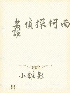 名侦探柯南h小说