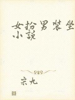 女扮男装坐江山小说