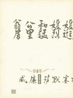 翁公和媛媛在厨房里猛烈进出