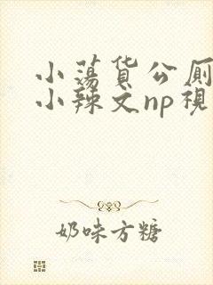 小荡货公厕h文小辣文np视频