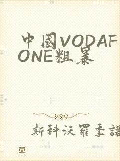 中国VODAFONE粗暴