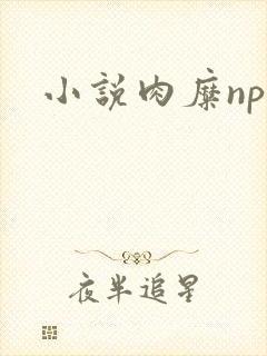 小说肉糜np