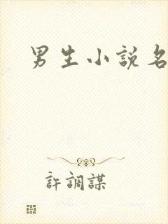 男生小说名字