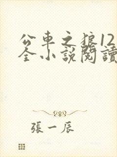公车之狼12集全小说阅读