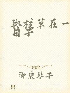 与校草在一起的日子