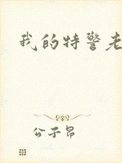 我的特警老婆