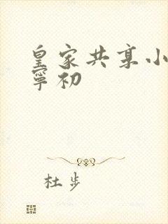 皇家共享小公主宁初