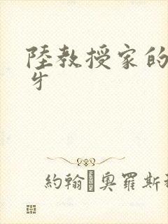 陆教授家的小月牙