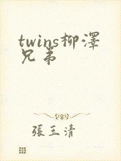 twins柳泽兄弟
