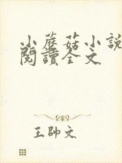 小蘑菇小说免费阅读全文