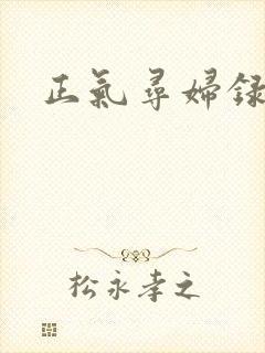 正气寻妇录