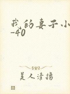 我的妻子小谨1-40