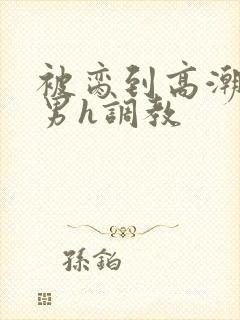 被脔到高潮的直男h调教