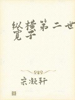 纵横第二世界 宽子