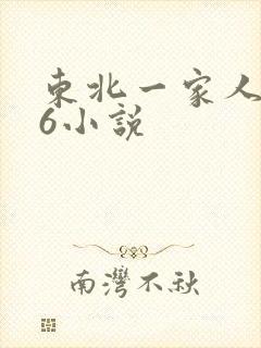 东北一家人1一6小说