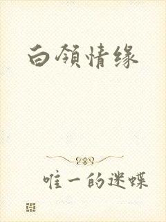 白领情缘