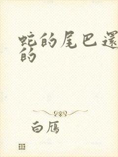 蛇的尾巴还在我的