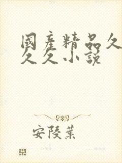 国产精品久久久久久小说