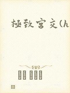 极致宫交(h)