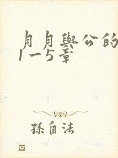 月月与公的激情1一5章