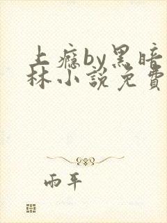 上瘾by黑暗森林小说免费