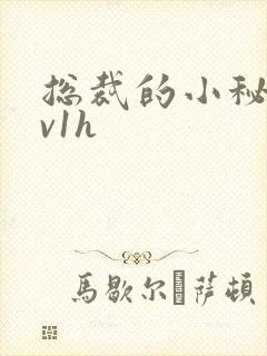 总裁的小秘书1v1h