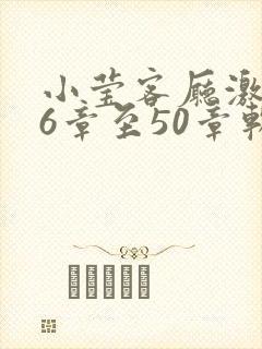 小莹客厅激情46章至50章软件介绍