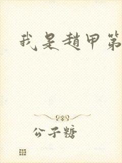 我是赵甲第小说